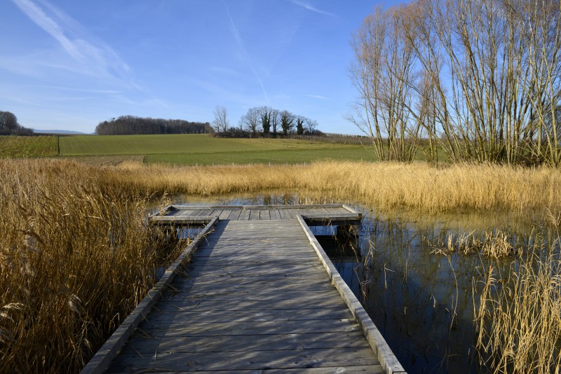 etang-perrause-pont-2